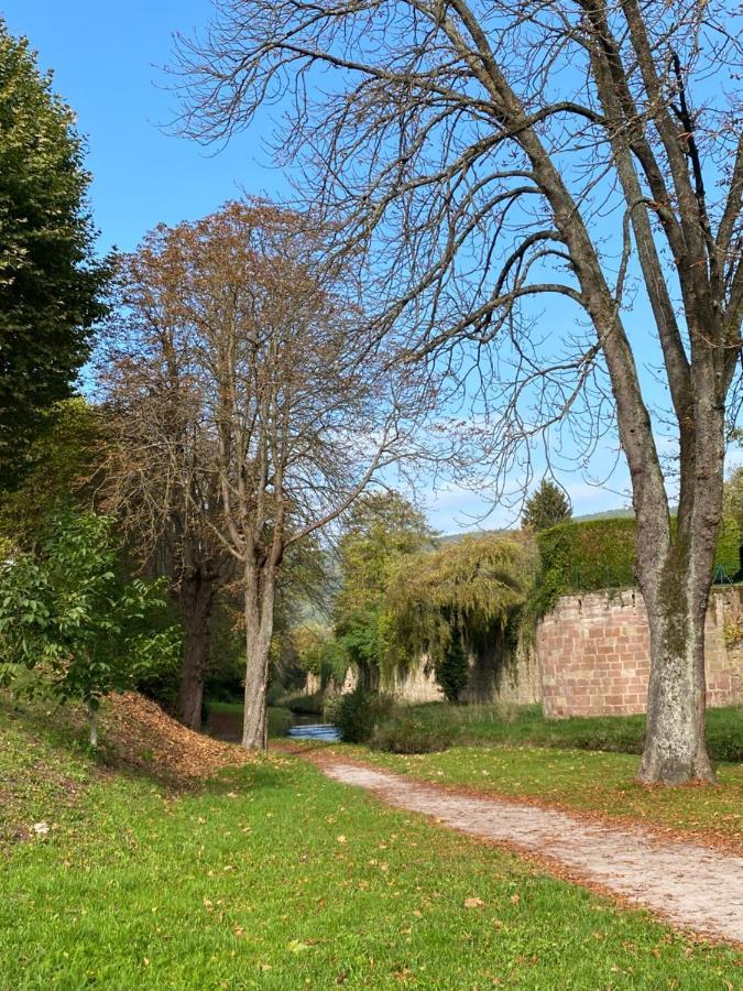 Belle Chambre Privee - Salle De Bain - Jardin - Wifi - Wissembourg Zewnętrze zdjęcie